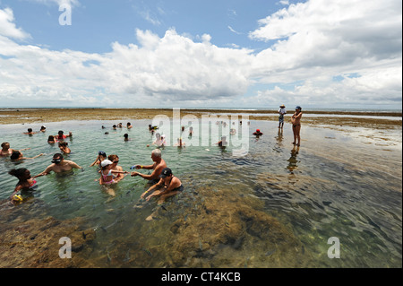 Brazil, Pernambuco, Porto de Galinhas, tourist looking for fish in the natural pools Stock Photo