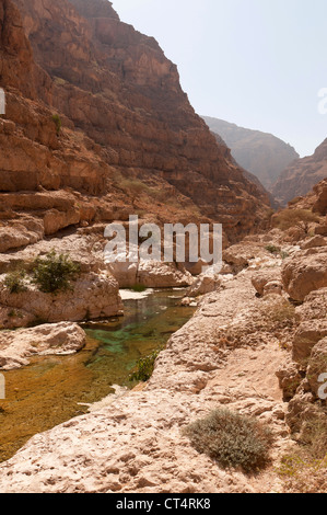 Elk207-2015v Oman, East coast, Wadi Shab, canyon landscape Stock Photo