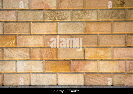 carved bricks in a wall full frame Stock Photo