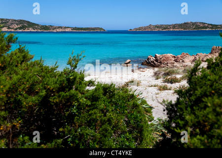 Beach and sea, Spiaggia del Cavaliere, Budelli island, archipelago La ...