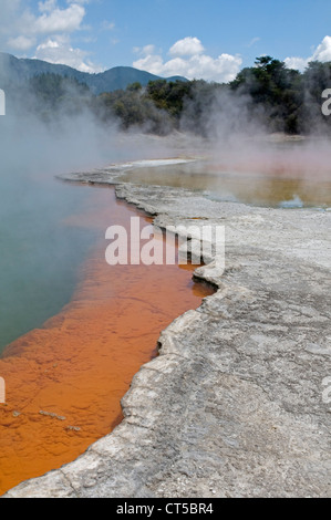 Champagne Pool at Wai-O-Tapu Thermal Wonderland near Rotorua, New Zealand Stock Photo