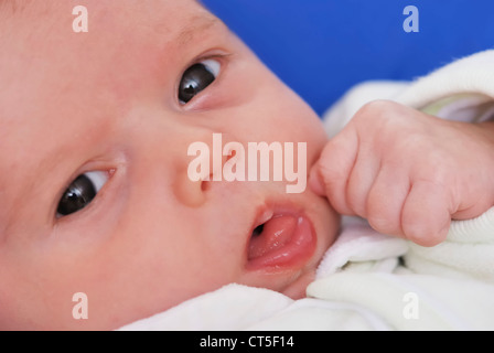 NEWBORN BABY FACE Stock Photo