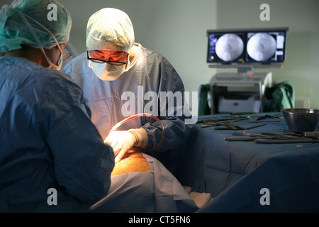 HERNIATED DISK, SURGERY Stock Photo