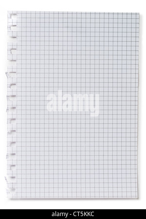 Torn page of notebook. Isolated on a white background with a shadow Stock Photo