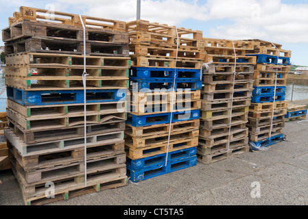 Lots of wooden forklift pallets for freight transportation, Penzance harbour, Cornwall UK. Stock Photo