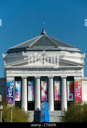 The John G Shedd Aquarium in Chicago, Illinois, USA. Stock Photo