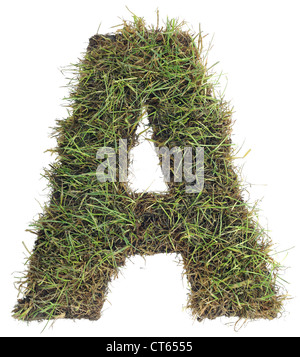 Letter A made with Real Grass Isolated on White Background Stock Photo