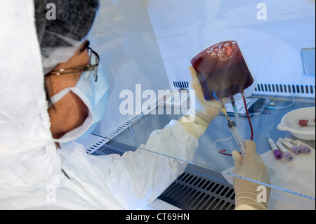 CORD BLOOD ANALYSIS Stock Photo