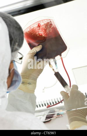 CORD BLOOD ANALYSIS Stock Photo