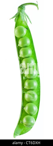 Open the pod peas on a white background. Stock Photo