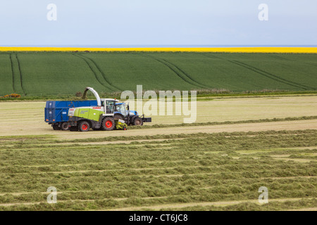 Farmer gathering silage. Grampian Scotland UK Stock Photo