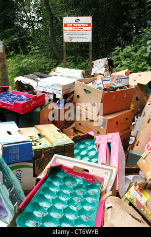 Rubbish fly tipped in front of No Dumping warning sign, Bromley, Kent Stock Photo