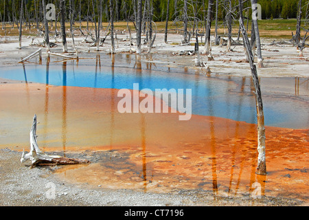 Opalescent Pool, Biscuit Basin, Yellowstone National Park Stock Photo
