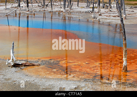 Opalescent Pool, Biscuit Basin, Yellowstone National Park Stock Photo