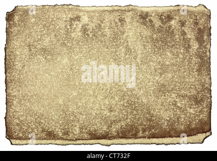 Stained old paper with rough edges Stock Photo