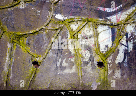 old and grunge stone wall background Stock Photo
