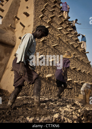 Crepissage festival. Restoration with fresh mud of the Sankore mosque.Timbuktu. mali Stock Photo