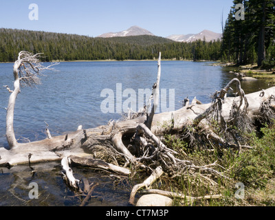 Dog Lake in Tuolumne Meadows part of the Yosemite National Park Stock Photo