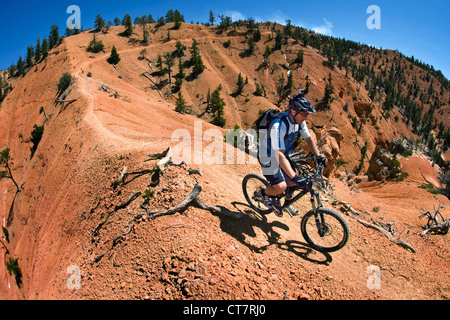 mountain biker on Thunder Mountain Trail, Red Mountain, Utah, USA Stock Photo