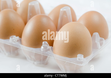 brown eggs in the package on white background Stock Photo