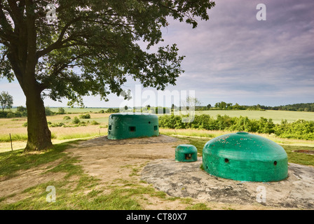 Bunkers at Ostwall Fortified Region German WW2 fortifications open-air museum near village of Pniewy Lubuskie Voivodeship Poland Stock Photo