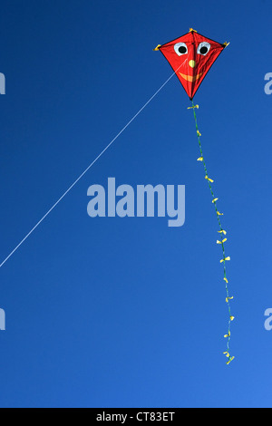 Symbol photo, a kite in the air Stock Photo