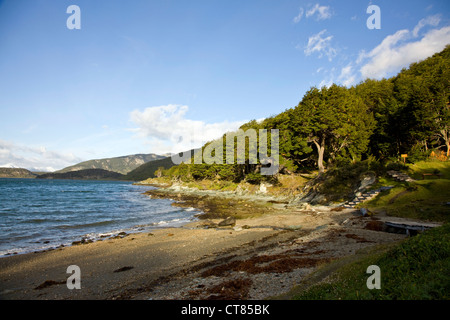 Bahia Ensenada in Parque Nacional Tierra del Fuego Stock Photo