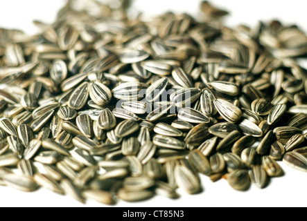 sunflower seeds with husks on shot on a white background Stock Photo