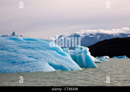 Icebergs blocking the Brazo Upsala in Lago Argentino Stock Photo