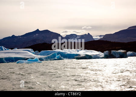 Icebergs blocking the Brazo Upsala in Lago Argentino Stock Photo