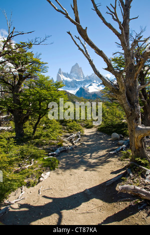 View of Mount Fitzroy from the Mirador on the Laguna de los Tres trail Stock Photo