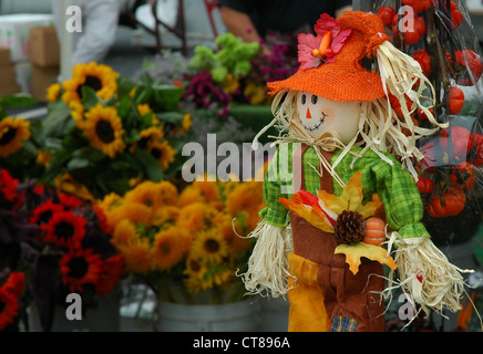 Scarecrow & Sunflowers at an autumn market Stock Photo