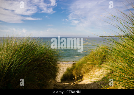 Porthkidney beach and sand dunes, Lelant, Cornwall Stock Photo - Alamy