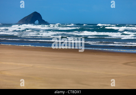 Ninety mile beach, New Zealand - the hole in the rock Stock Photo