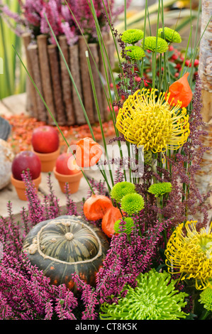 Common heather (Calluna), chrysanthemums (Chrysanthemum), pincushions (Leucospermum) and squash (Cucurbita) in an autumnal flower arrangement Stock Photo