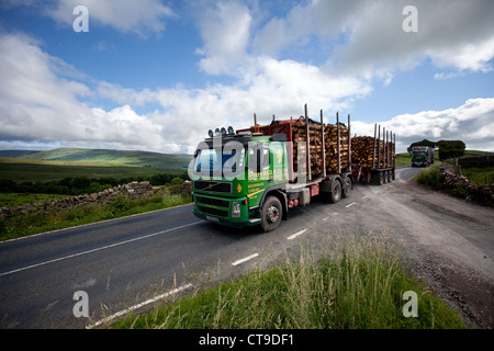 Loaded Timber lorry & trailer transporting cut logs from a Forest in Snaizeholme off Widdale,  plantation, Hawes in the North Yorkshire Dales,  UK Stock Photo