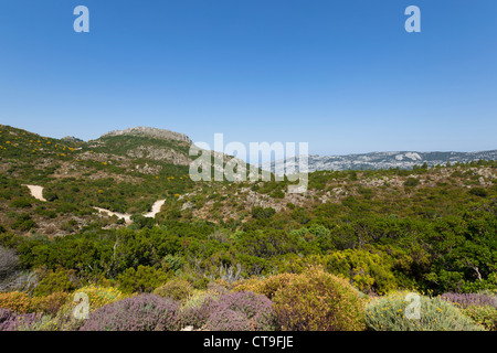 Landscape in the back country of Supramonte mountains, Sardinia - Italy Stock Photo