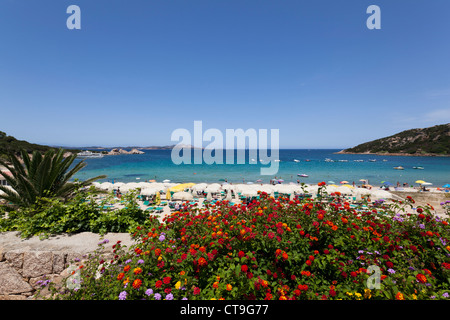 Beach promenade of Baja Sardinia with blooming flowers on Sardinia, Italy Stock Photo