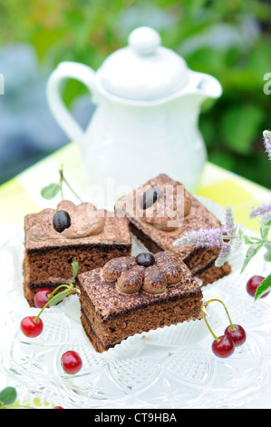 Chocolate cakes and teapot in the garden Stock Photo