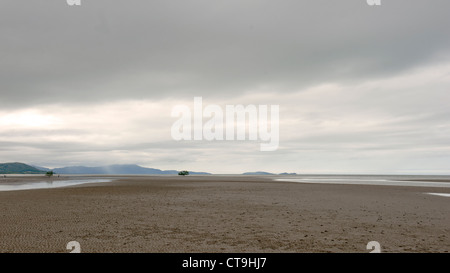 Evening mood at low tide at Cooya Beach on the Cape York Peninsula in Far North Queensland. Stock Photo