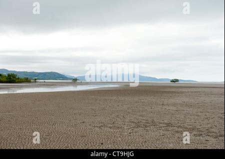 Evening mood at low tide at Cooya Beach on the Cape York Peninsula in Far North Queensland. Stock Photo