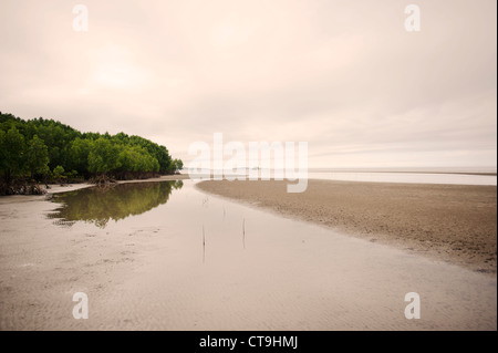 Evening mood at low tide at Cooya Beach on the Cape York Peninsula in Far North Queensland. Stock Photo