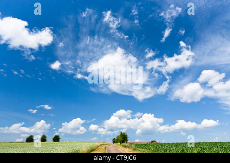 country scenery under high blue sky at summer day Stock Photo