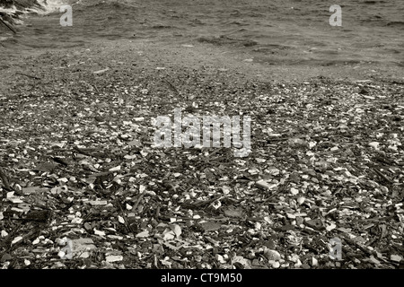 image of a polluted manila bay shore with toxic garbage floating. Stock Photo