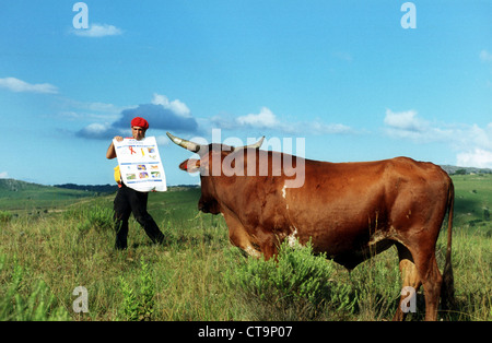 Clown Rico is challenging a bull in Swaziland Stock Photo