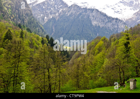 Recreational area,Hiking,Walking,Canoing,Mountain Climbing, Tourists,Tourism, Veglio,Val Bavana,Switzerland Stock Photo