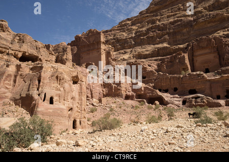 Rock houses near Petra Jordan with a donkey Stock Photo