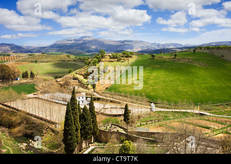 Andalusia countryside landscape, stud farm paddocks, fields, green meadows on a hills in southern Spain. Stock Photo