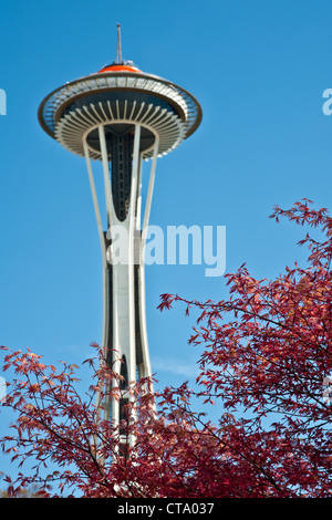 Space Needle in Seattle Center with maple tree in the foreground Stock Photo