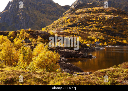 Landscape on the Lofoten at A, Autumn, Moskenesoy, Nordland, Norway, Scandinavia, Europe Stock Photo